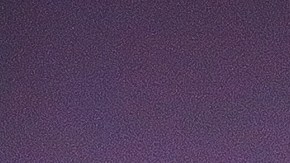 Julio César Chávez jr