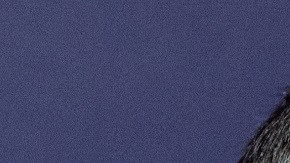 El demócrata Beto O'Rourke y el republicano Greg Abbott.