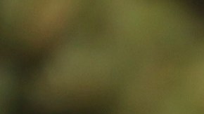 FREMONT, CALIFORNIA - APRIL 20: A sign is posted in front of a Tesla service center on April 20, 2022 in Fremont, California. Tesla reported first quarter earnings that far exceeded analyst expectations with revenue of $18.76 billion compared to expectations of $17.80 billion. (Photo by Justin Sullivan/Getty Images)