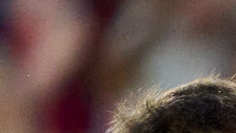El equipo argentino se enfrentará a México, Polonia y Arabia Saudita en el Mundial.