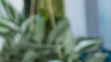 Eduin Caz de Grupo Firme | Jason Koerner/Getty Images.