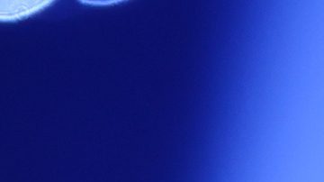 Danna Paola | Hector Vivas/Getty Images.