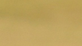 Tiger Woods rechazó hasta 800 millones de dólares en el trato.