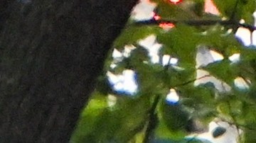 El expresidente Donald Trump y la exprimera dama Melania Trump.