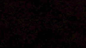 Pareja de ancianos muere en incendio de su casa en San Bernardino tratando de salvar a sus mascotas