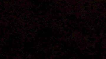 Pareja de ancianos muere en incendio de su casa en San Bernardino tratando de salvar a sus mascotas