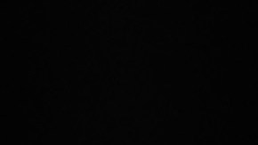 El exvicepresidente Mike Pence.