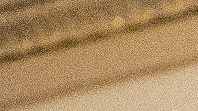 El senador Schumer se reúne con funcionarias de Suecia y Finlandia ante de la votación en el Senado.