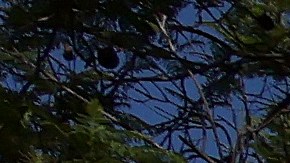 La ofrenda improvisada por los fans de los Dodgers para Vin Scully en la calle de ingreso al estadio.