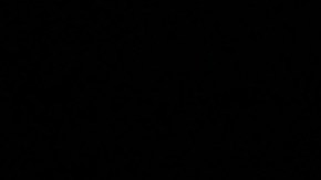 Trump acumuló más de 300 documentos clasificados en su residencia, según NYT