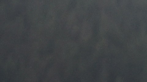 Cox demostró un talento natural en el nado en aguas abiertas.