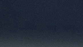 CDC advierten que perros pueden contagiarse de viruela del mono, luego de primer caso de humano a animal