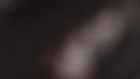 Casemiro se va al Manchester United por 70 millones de euros.