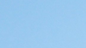 BAKERSFIELD, CALIFORNIA - AUGUST 26: Tangerines rest in the dirt in front of dry vegetation on farmland amid ongoing drought on August 26, 2022 near Bakersfield, California. California is experiencing a third consecutive year of drought in the West. According to the U.S. Drought Monitor, more than 97 percent of the state of California's land area is in at least severe drought status. (Photo by Mario Tama/Getty Images)