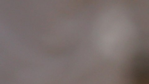 Las pruebas que presentó la fiscalía contra Borden fueron circunstanciales.