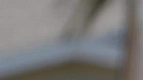DOWNEY, CA - OCTOBER 24: Police stand outside two story house after a shooting and at a fire protection business nearby killing two people and injuring three others on October 24, 2012 in Downey, California. Police are still searching for the gunman who stole a car and escaped. (Photo by Kevork Djansezian/Getty Images)