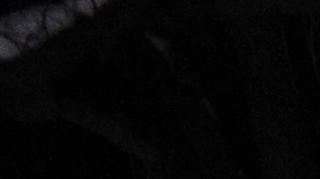 A highway patrol officer checks with colleagues at a roadblockon on Highway 38 near Angeles Oaks during a standoff with fugitive ex-cop Christopher Dorner, near San Bernardino, California on February 12, 2013. Nobody has yet been found in a burnt-out US mountain cabin where Dorner was believed to have barricaded himself after a six-day manhunt, a police spokesman said. Media reports that a body had been found in the cabin near Big Bear, east of Los Angeles, and identified as Dorner's were false, said Los Angeles Police Department (LAPD) spokesman Andrew Smith. AFP PHOTO /JOE KLAMAR (Photo credit should read JOE KLAMAR/AFP via Getty Images)