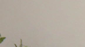 Una misa especial en recuerdo del periodista James Foley el 24 de agosto de 2014 en Rochester, New Hampshire.