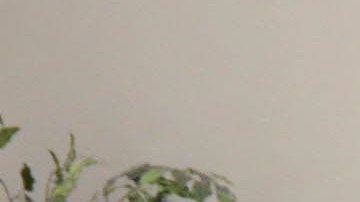 Una misa especial en recuerdo del periodista James Foley el 24 de agosto de 2014 en Rochester, New Hampshire.