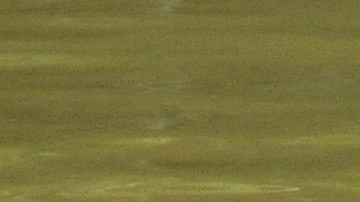 Divers from the French gendarmerie search a lake on August 29, 2014 in Chenerailles, central France, after a 4-month-old baby went missing on August 27. Investigations to find a 4-month-old baby who has been missing since August 27 in the Creuse, central France, which the parents claim has been abducted by a stranger, remained unsuccessful on August 29. AFP PHOTO / THIERRY ZOCCOLAN (Photo credit should read THIERRY ZOCCOLAN/AFP via Getty Images)