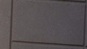 Niño muere por caso sospechoso de ameba devoradora de cerebros en Nebraska