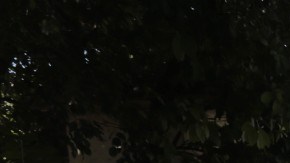 Policía Municipal mexicana