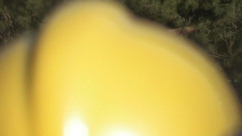 Avioneta choca contra camioneta en Freeway en la ciudad de Corona, estalla en llamas, pero todos sobreviven