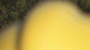 Avioneta choca contra camioneta en Freeway en la ciudad de Corona, estalla en llamas, pero todos sobreviven