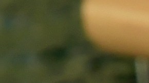 Pete Rose estaba en medio de una racha de hits de 15 juegos.