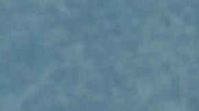 En 1976, la Asociación de Tenis de Estados Unidos le negó la participación en el Abierto de Estados Unidos.