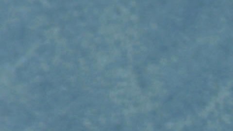En 1976, la Asociación de Tenis de Estados Unidos le negó la participación en el Abierto de Estados Unidos.