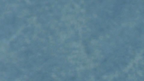 En 1976, la Asociación de Tenis de Estados Unidos le negó la participación en el Abierto de Estados Unidos.