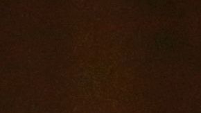 Oscar Pistorius cambiaría drásticamente a principios del año siguiente cuando el atleta estrella fue arrestado por el asesinato de su novia.