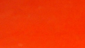 Guantes de boxeo como imagen de referencia.