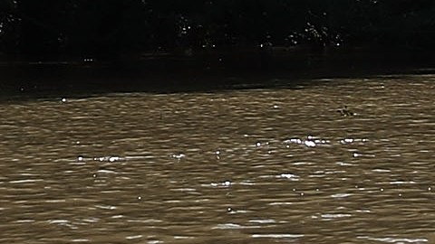 Caso Kiely Rodni: Alguacil confirma que el cuerpo extraído del embalse de California pertenece a la joven tras autopsia