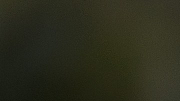 Stephen Ross, dueño de los Miami Dolphins de la NFL.