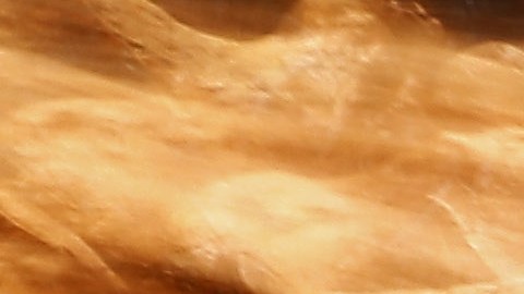 Sue fue el primer esqueleto de T.rex que se descubrió con una espoleta.