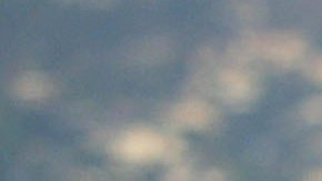 Guardaparques ayudaron a preservar el lugar donde apareció una mujer colgada en Griffith Park.