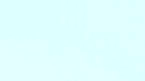 A K9 dog is lead to a police vehicel during a display by the Monterey Park police department at a "Night Out" activity on August 1, 2017 in Monterey Park, California One of hundreds of such activites expected to take place across the country for National Night Out, which began over 30 years ago with a call for people to hold small public gatherings in a take-back-the-streets show of community pride which, over the years, has grown to include block parties, parades, movie screenings and picnics. / AFP PHOTO / FREDERIC J. BROWN (Photo credit should read FREDERIC J. BROWN/AFP via Getty Images)