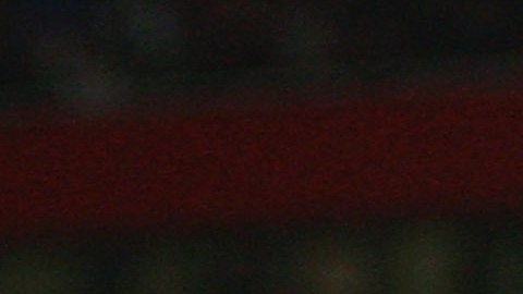 Carlos Vela