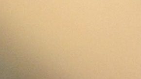 Perro ataca y mutila salvajemente a un niño de 4 años que jugaba en la casa de un amigo en Reino Unido