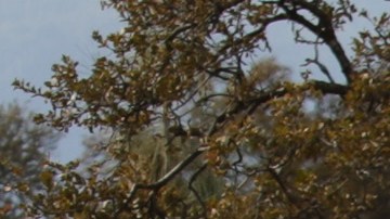 A Highway Patrol officer speaks to a woman while blocking off a road to traffic after a shooting on November 14, 2017, in Rancho Tehama, California - Four people were killed and nearly a dozen were wounded, including several children, when a gunman went on a rampage at multiple locations, including a school in rural northern California. (Photo by Elijah Nouvelage / AFP) (Photo by ELIJAH NOUVELAGE/AFP via Getty Images)