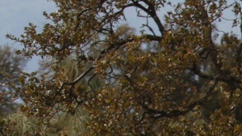 A Highway Patrol officer speaks to a woman while blocking off a road to traffic after a shooting on November 14, 2017, in Rancho Tehama, California - Four people were killed and nearly a dozen were wounded, including several children, when a gunman went on a rampage at multiple locations, including a school in rural northern California. (Photo by Elijah Nouvelage / AFP) (Photo by ELIJAH NOUVELAGE/AFP via Getty Images)