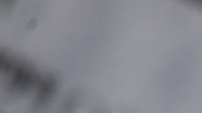 Un distrito escolar de Texas ha censurado hasta la Biblia.