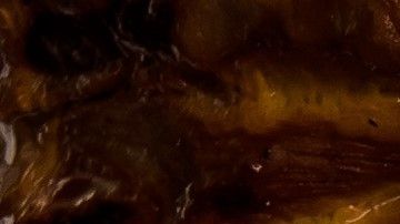 (FILES) In this file photo taken on October 31, 2016, chef Adrian Reyes cuts small slices of marinated thin fillets of pork already cooked from "the ball" or "the spinning top", to make traditional "Tacos al Pastor" (shepherd- style tacos) at El Tizoncito restaurant in Mexico City. / AFP PHOTO / OMAR TORRES / TO GO WITH AFP STORY by Jean Luis ARCE / More pictures in AFP FORUM (Photo credit should read OMAR TORRES/AFP via Getty Images)