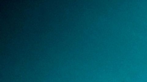 Tiburones atacan a niño de 8 años durante vacaciones en Bahamas y su hermana de 12 lo salva milagrosamente