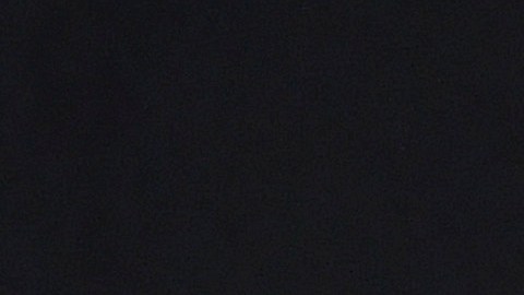 Giorgio Chiellini llegó esta temporada al LAFC luego de una exitosa carrera con la Juventus.