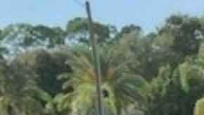 Tras recibir la denuncia, la policía inmediatamente identificó a Hellmuth Kolb de 85 años y procedió a su detención.