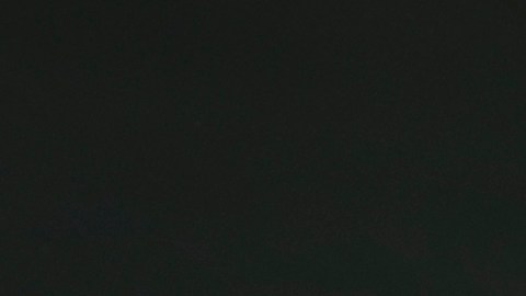 Hombre de Carolina del Norte descubre que ganó la lotería mientras celebra aniversario de boda