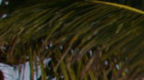 Hombre de Florida asesina a su novia cuando intentaba dispararle a la expareja de la víctima